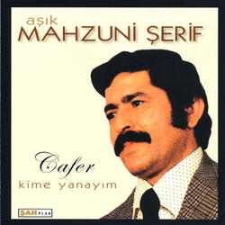 Yürüyün Aslanlar