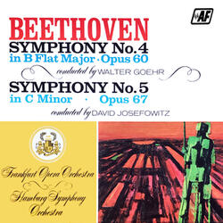 Symphony No. 5 in C Minor, Op. 67: III. Allegro