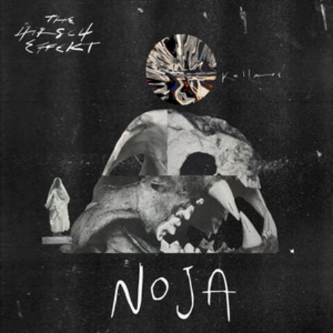 Noja