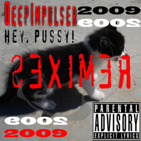 Hey, Pussy! - Remixes 2009