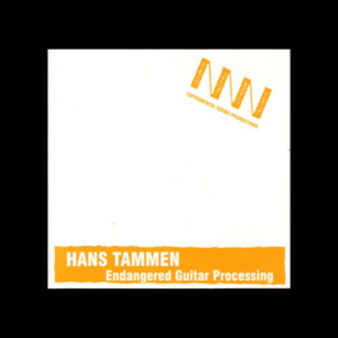 Endangered Guitar Processing