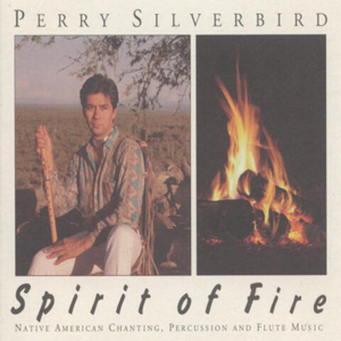 Perry Silverbird