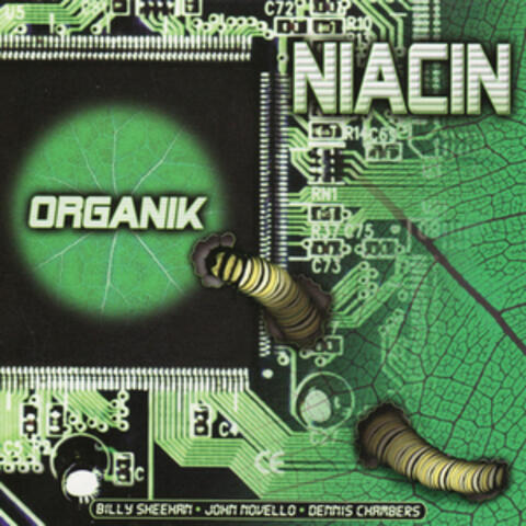 Organik