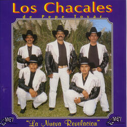Me Traes de un Ala
