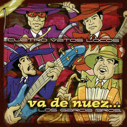 Viendolo Bien
