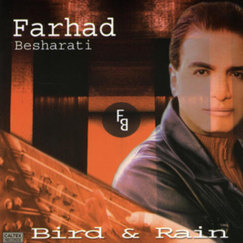 Bird & Rain (Instrumental - Ghanoon, Zither) - Persian Music