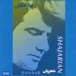 Shamo Parvaneh