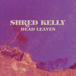 Dead Leaves