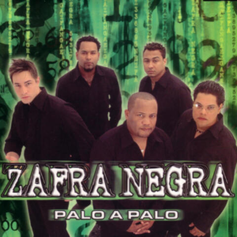 Palo A Palo