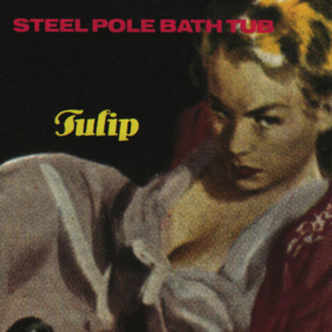 Tulip