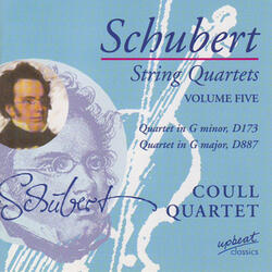 Quartet in G minor, D173: Allegro con brio
