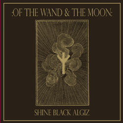 Shine Black Algiz