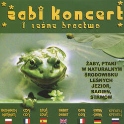 Frog soloists in stereo sound