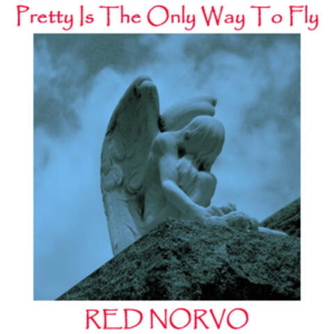Pretty Is The Only Way To Fly
