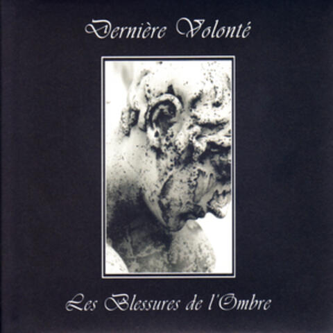 Les Blessures de l'Ombre