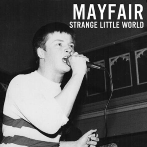 Strange Little World