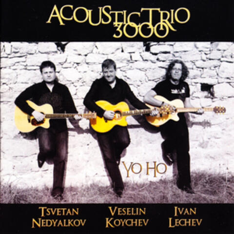 Acoustic Trio 3000