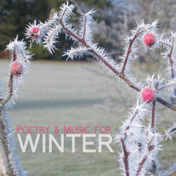 Frost At Midnight By Samuel Taylor Coleridge