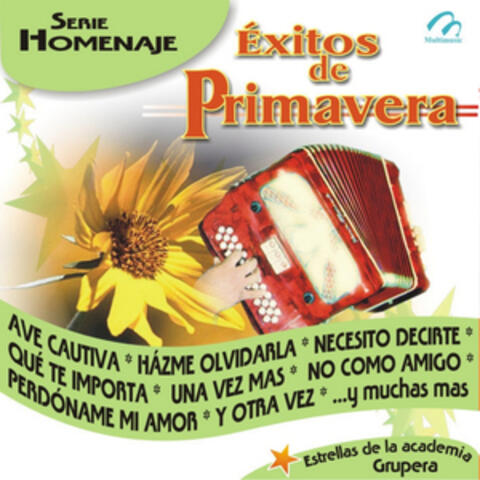 Éxitos De Primavera