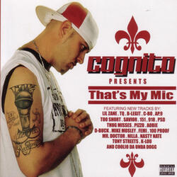 The Mic
