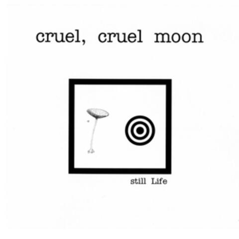 Cruel Cruel Moon