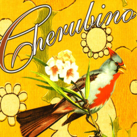 Cherubino