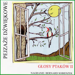 Krętogłów