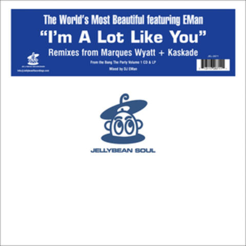 I'm a Lot Like You Remixes