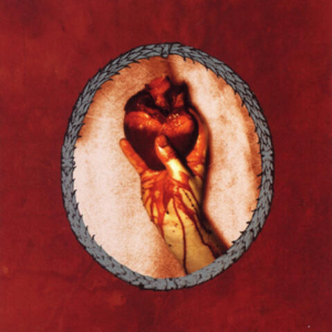 Another Great Love Song