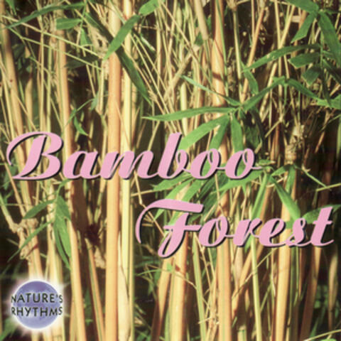 Nature's Rhythms - Bamboo Forest