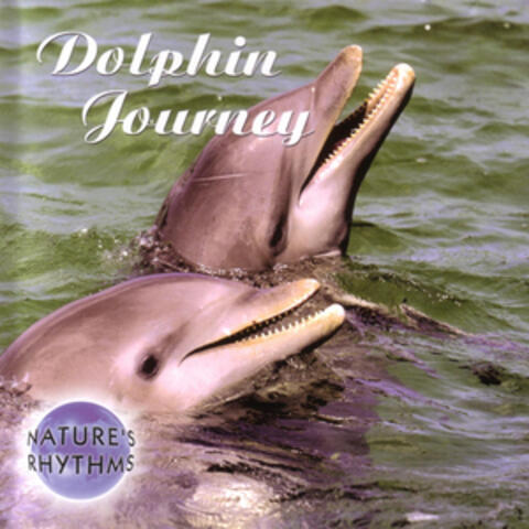 Dolphin Journey