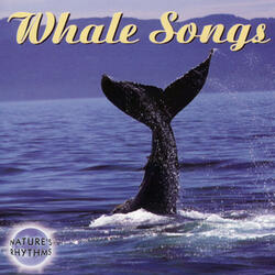 Ballad of the Whales