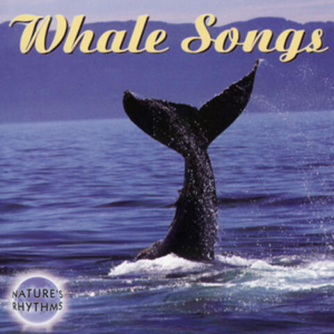 Nature's Rhythms - Whale Songs