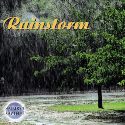Rainstorm