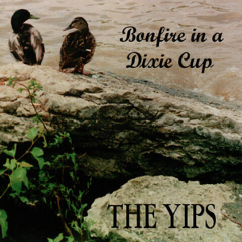 Bonfire In A Dixie Cup