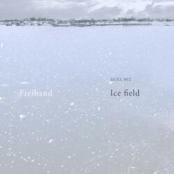 Ice Field 6