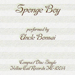 Sponge Boy