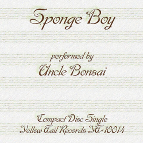 Sponge Boy