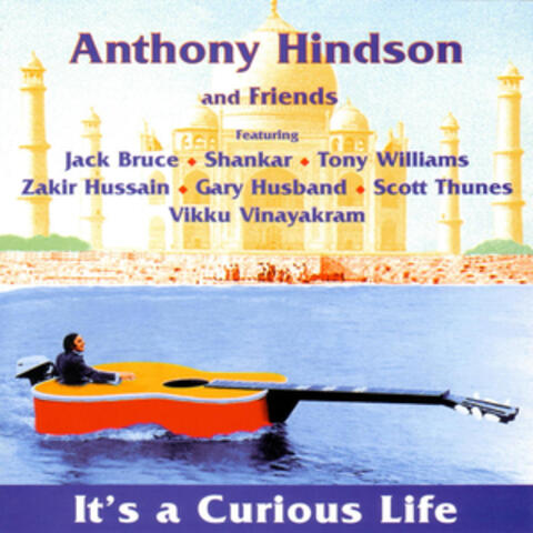 It's A Curious Life