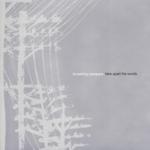 Take Apart The Words