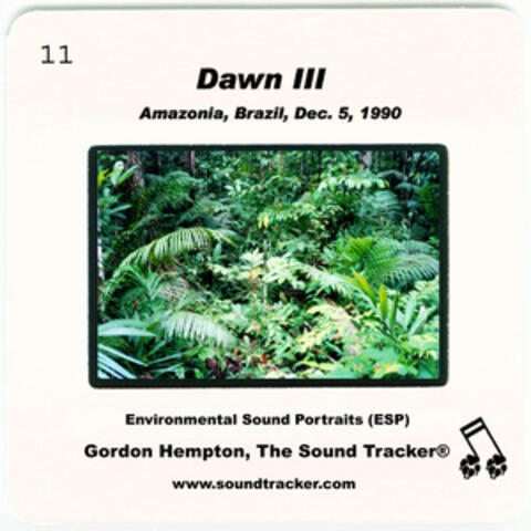 Dawn III