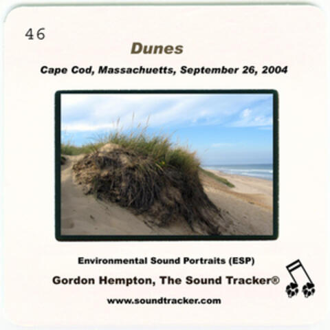 Dunes