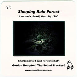 Sleeping Rain Forest