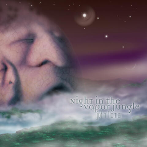 Night in the Vapor Jungle