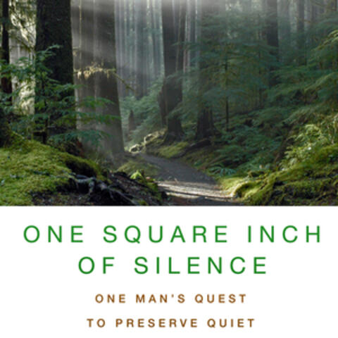One Square Inch of Silence