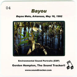 Bayou