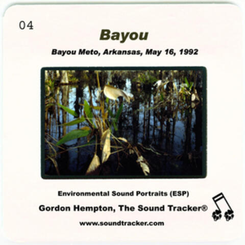 Bayou