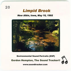 Limpid Brook