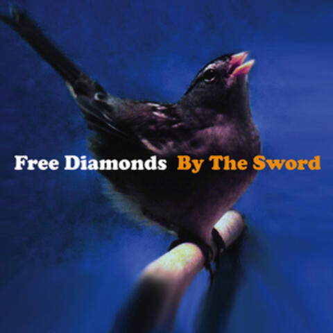 By The Sword
