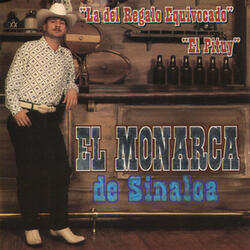 Llegaste a Mi Vida